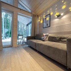 Дом с видом на лес гостиная со спальней (40 кв.м)
