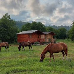 Фото Отель База отдыха Страна души