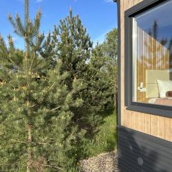 Фото Отель Дача Искона