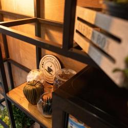 Фото Лимон апарт-отель