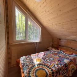 Фото Отель Финский Лес