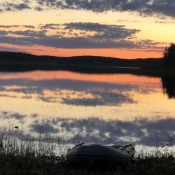 Фото Отель Медвежья лапа