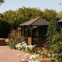 Фото Отель Санаторий Евромед