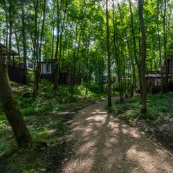 Фото Парк-отель Истра