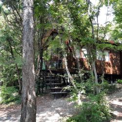 Домик в лесу