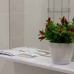 Фото Отель RENT-сервис (Рент-сервис) на Звездова