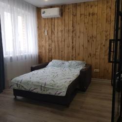 Фото Апартаменты на улице Аркадия Шипунова 6