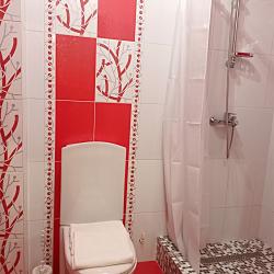 Фото Отель Багира