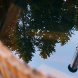 Фото Отель Хвойная хижина