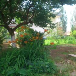 Фото Отель Берег