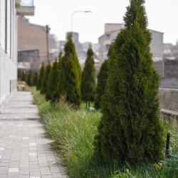 Фото Dynasty Hotel & SPA (Династия Отель и СПА)