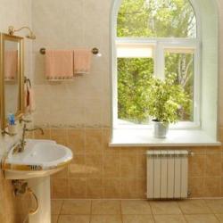 Фото Отель Купеческая