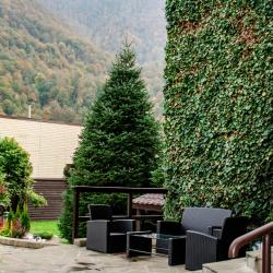 Фото Отель Альпийский двор