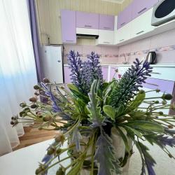 Фото Апартаменты на улице Красноармейская 89