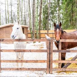 Фото Отель Русские Сезоны село 4*