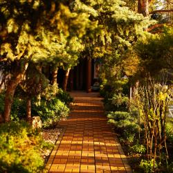 Александр — c56f371e17006e6d5a43a7e91c7836d3