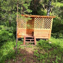 Фото Отель Алтай - Кайлас