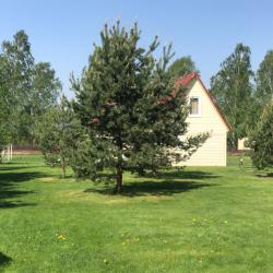 Фото Отель Дункан