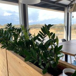 Фото SPA-отель Песок и море