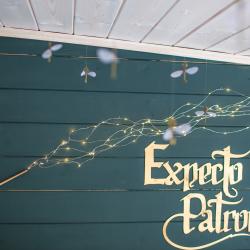 Фото Отель Гарри и философский чан