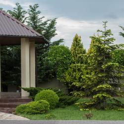 Фото Отель California (Калифорния)