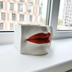 Фото Апартаменты Сальвадор