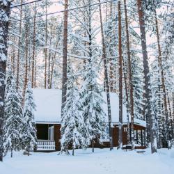 Фото Отель Ветлуга