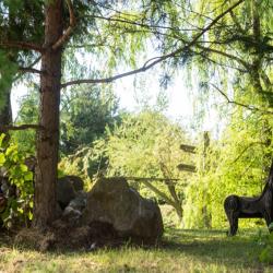 Фото Отель Креатово