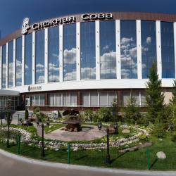фото 2 Снежная сова