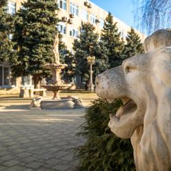 Фото Отель Монарх
