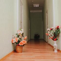 Фото Отель Вираж