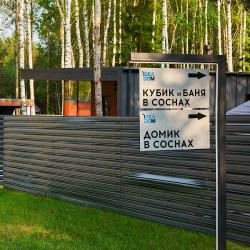 Кубик в соснах
