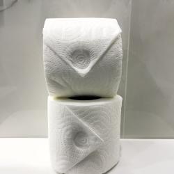 2-комнатные апартаменты стандарт в центре Тюмени с живописным прудом