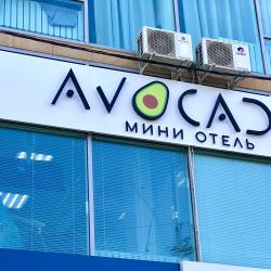 фото 31 Avocado (Авокадо)