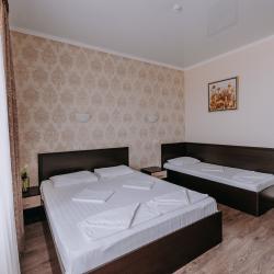 3-местный номер стандарт с 1 односпальной и 1 двуспальной кроватью