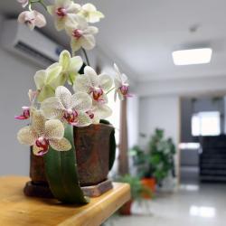 Фото Отель Чешский дом