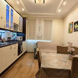 1-комнатные апартаменты стандарт улица Мечникова, 40