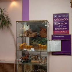 Фото Отель Лотос