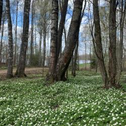 Изба рыбака