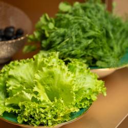 Фото Отель Sarhad Hotel Bukhara (Сархад )