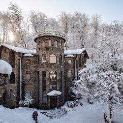 Фото Отель Форт Эврика