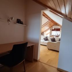 Апартаменты люкс (мансарда)