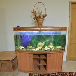 Фото Отель Успенская