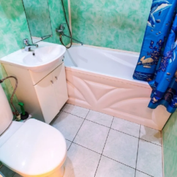 Фото Апартаменты на проспекте Мира 36