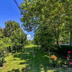 Фото Парк-Отель Южный берег