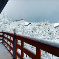 Фото Отель Хижина