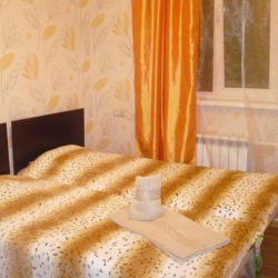 Фото Отель Гостевой дом Домодедово