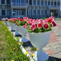 Фото Отель Сибирская Венеция