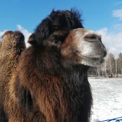 Фото Отель Хуторок Озерный