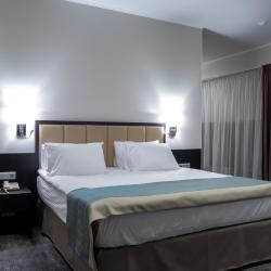 фото 20 Holiday Inn Chelyabinsk (Холидей Инн Челябинск)